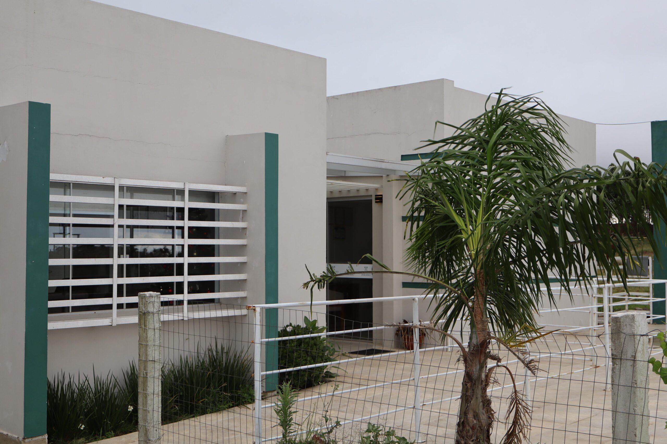 WhatsApp Image 2024-12-26 at 18.41.24 (1)